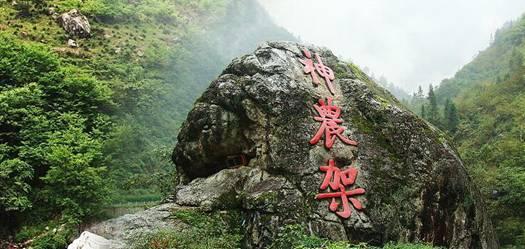 芭比公主四元素装